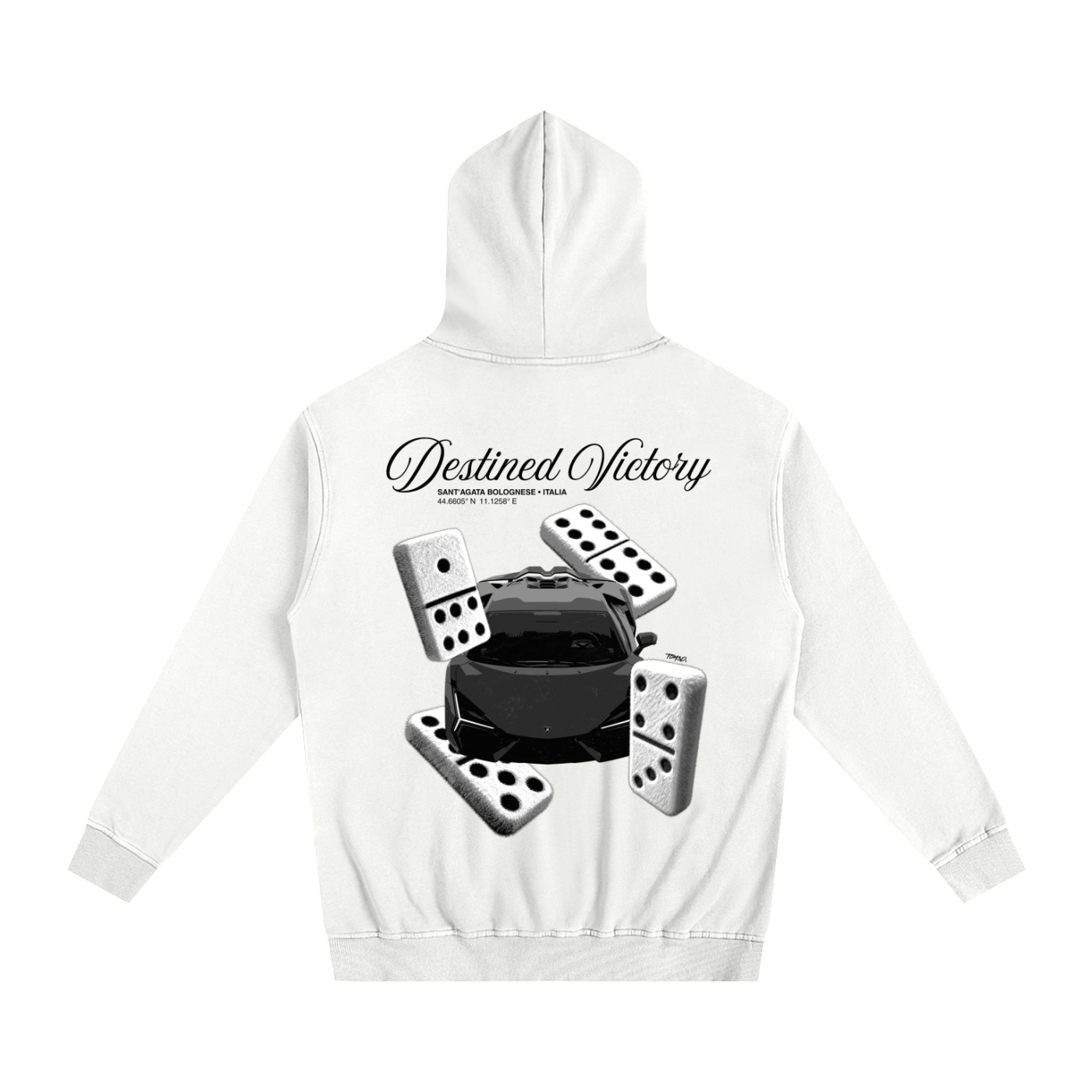 Destined Victory Hoodie