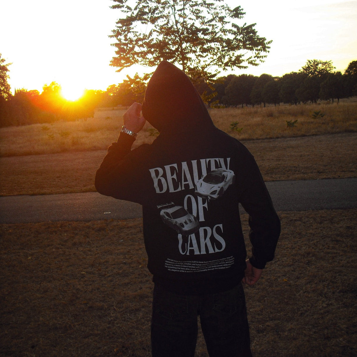 Beauty of Cars Heavyweight Cotton Hoodie